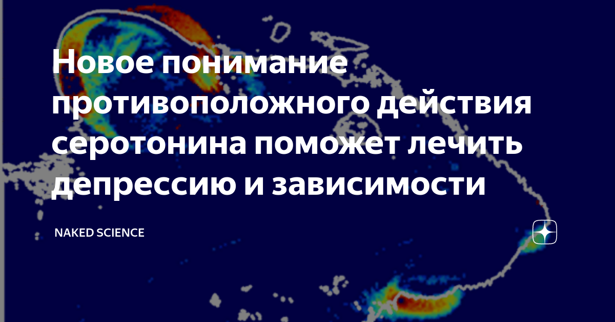 Новое понимание противоположного действия серотонина поможет лечить ...