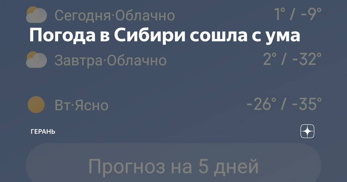Погода в Сибири сошла с ума | Герань | Дзен