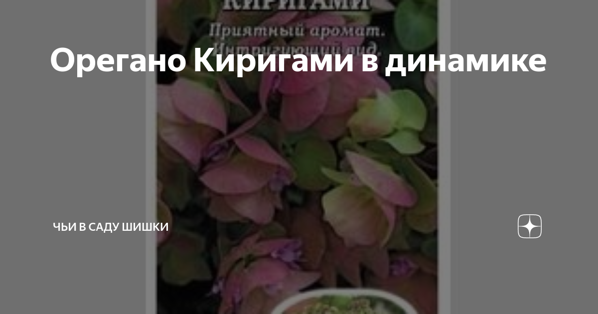 Орегано Киригами в динамике | Чьи в саду шишки | Дзен