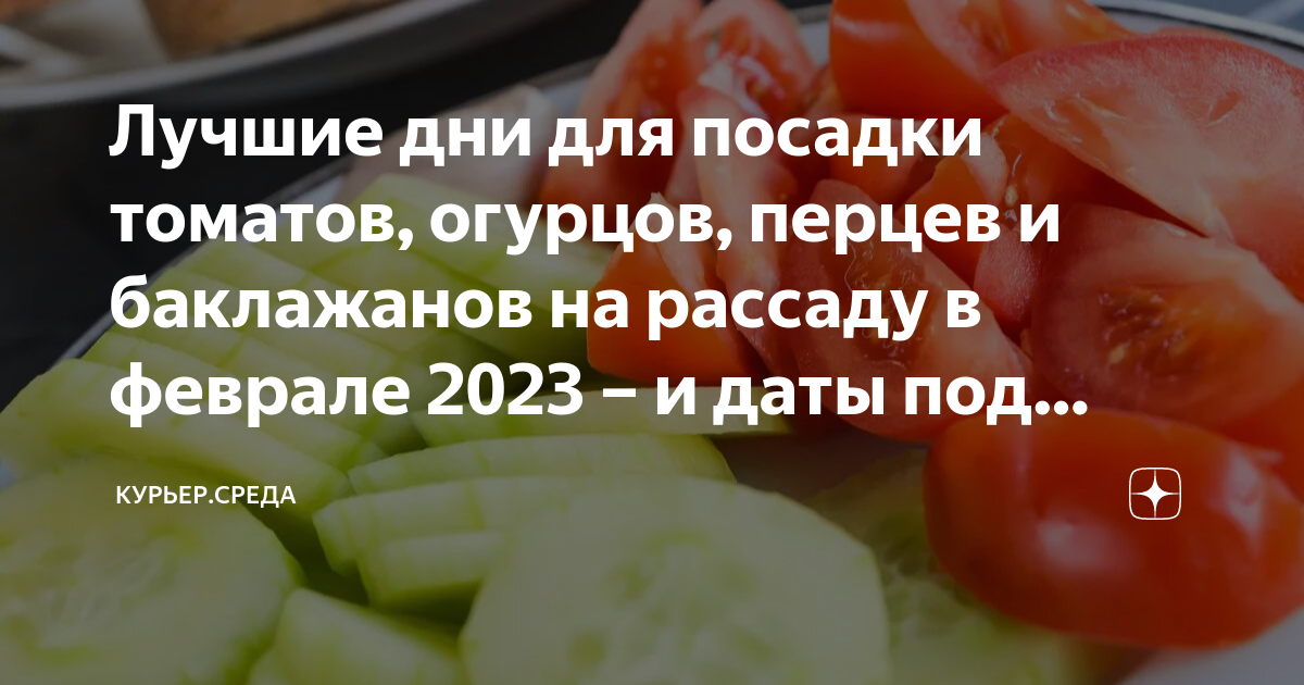 Посадка болгарского перца в феврале 24 года