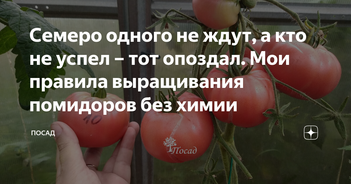 Семеро одного не ждут картинка для детей