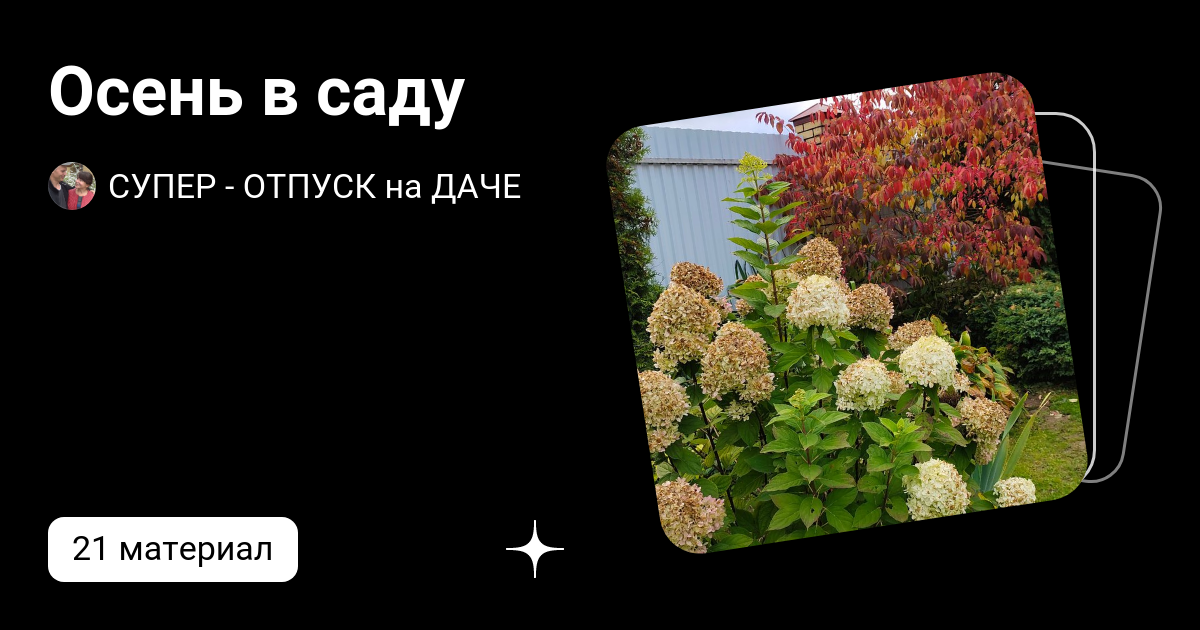 Осень в саду | СУПЕР - ОТПУСК на ДАЧЕ | Дзен