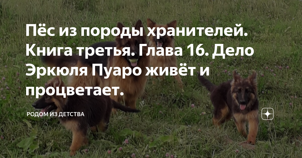 Пёс из породы хранителей. Книга третья. Глава 16. Дело Эркюля Пуаро ...