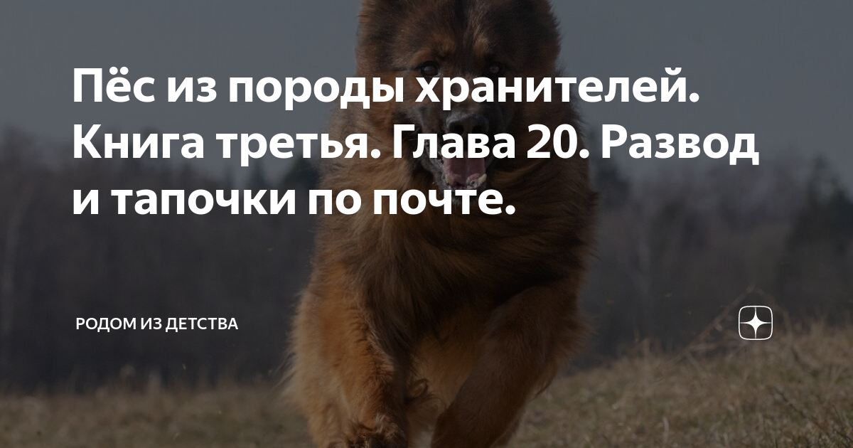Пёс из породы хранителей. Книга третья. Глава 20. Развод и тапочки по ...