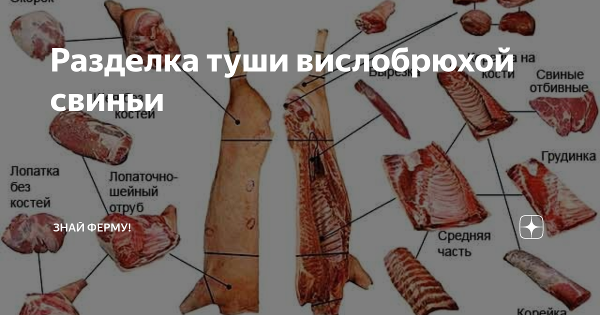 Как правильно разделывать мясо свинины