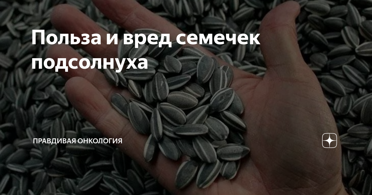 Салат «Подсолнух» с курицей: лучшие рецепты и лайфхаки по украшению