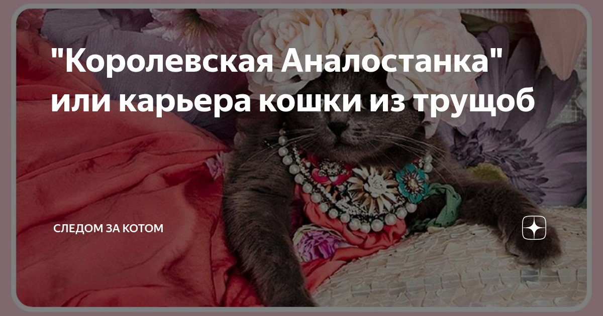 Королевская аналостанка план по главам