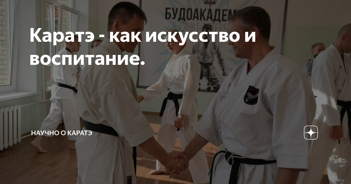 что значит дан в карате