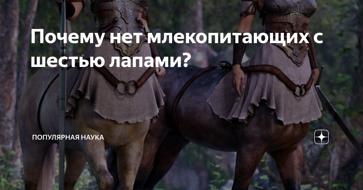 Почему нет млекопитающих с шестью лапами? | Популярная наука | Дзен