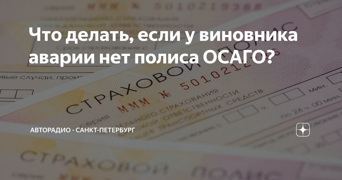 Штраф за отсутствие страховки в казахстане. ДТП без полиса ОСАГО У виновника. Исковое заявление на виновника ДТП без полиса ОСАГО.