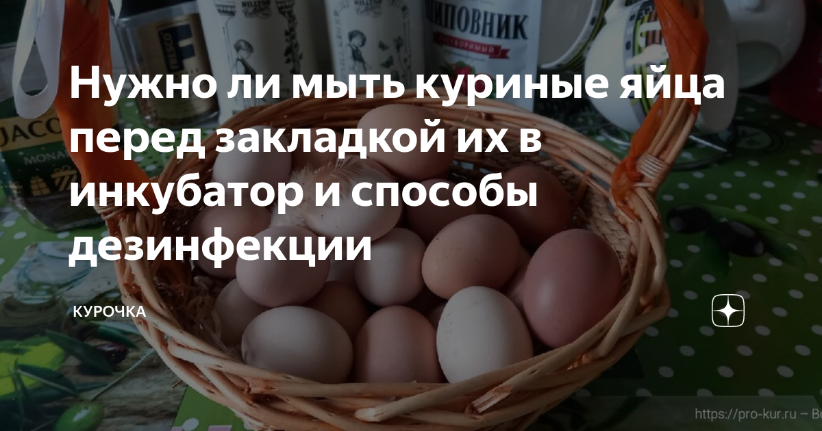 надо ли мыть яйца перед закладкой в инкубатор