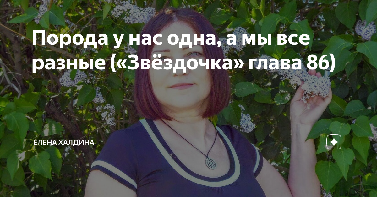 Елена Халдина Звездочка. Звездочка глава 210 Елена Халдина. Звёздочка Елена Халдина глава 240. Елена Халдина Звездочка глава 145.
