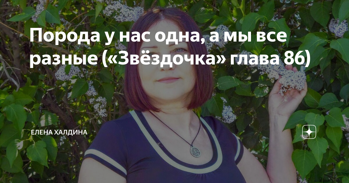 Халдина мать звезды дзен. Елена Халдина Звездочка. Звездочка глава 210 Елена Халдина. Звёздочка Елена Халдина глава 240. Елена Халдина Звездочка глава 145.