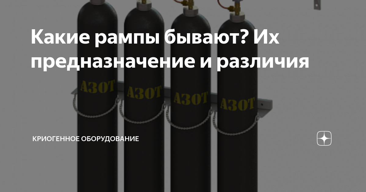 Какие рампы бывают? Их предназначение и различия | Большая лапа | Дзен