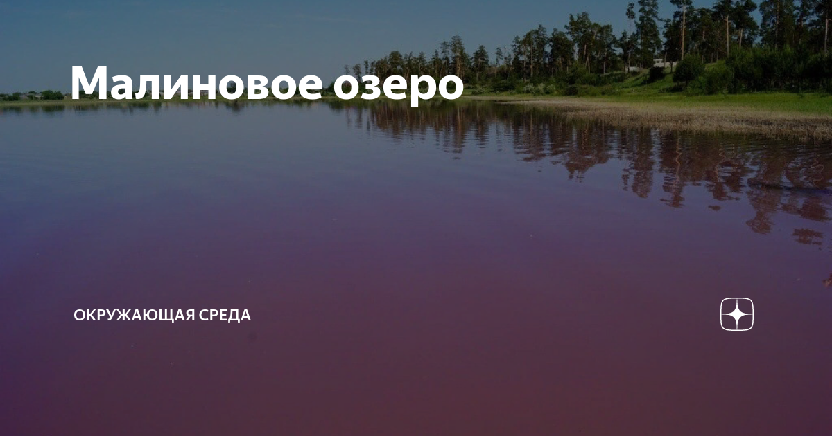 Погода в малиновом озере на 10 дней. Малиновое озеро (Михайловский район). Ельцовка - малиновое озеро. Розовое озеро Алтайский край на карте. Малиновое озеро почему такой цвет.