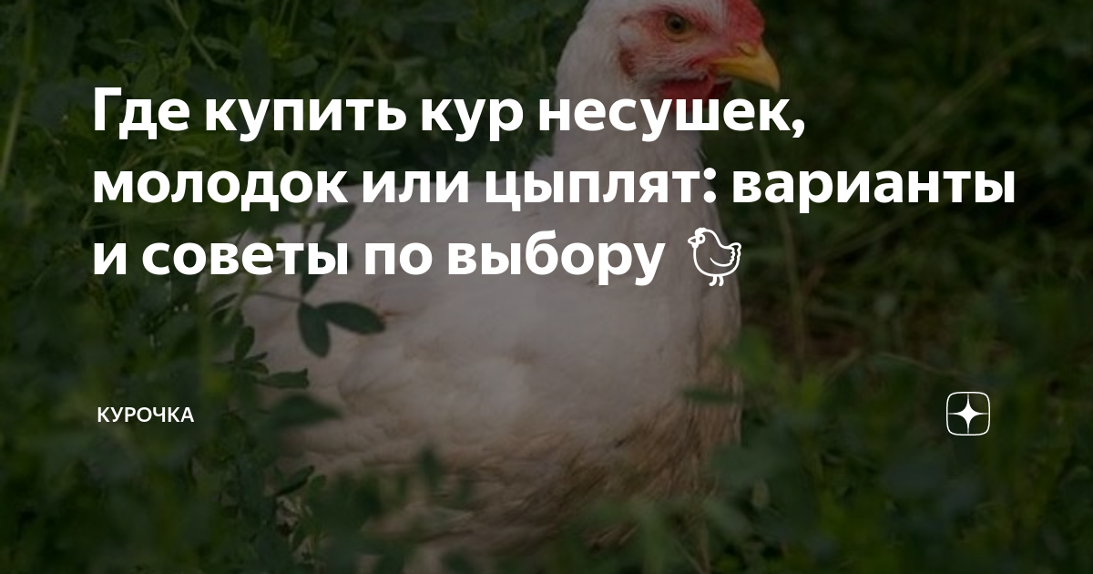зеркальные обои где купить
