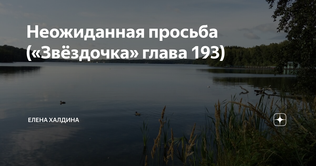 Звездочка моя глава 8 глава 16