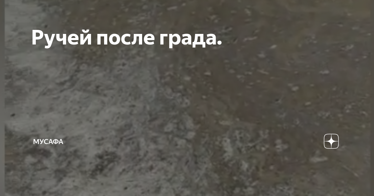 Скггта черкесск колледж. Мусафа. Мусафа. Скггта черкесск колледж. Мусафа.