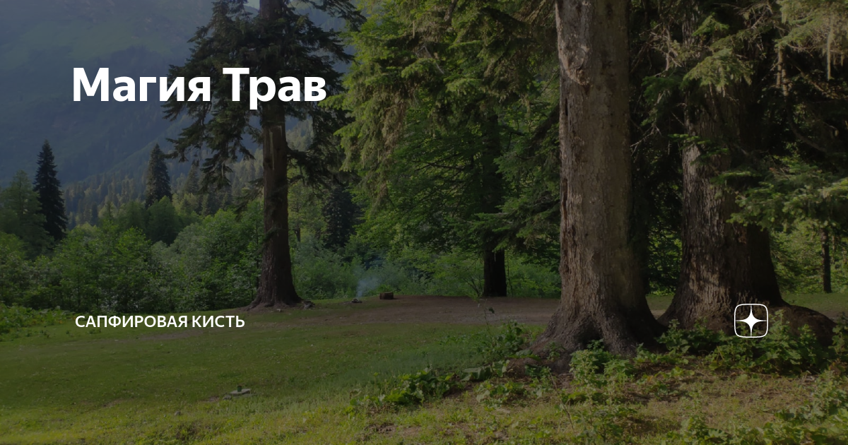 Сапфировая кисть дзен. Into the Wild фильм. Far Cry 5 обои. Into the Wild эпизод 1. Обои far Cry 5 Постер