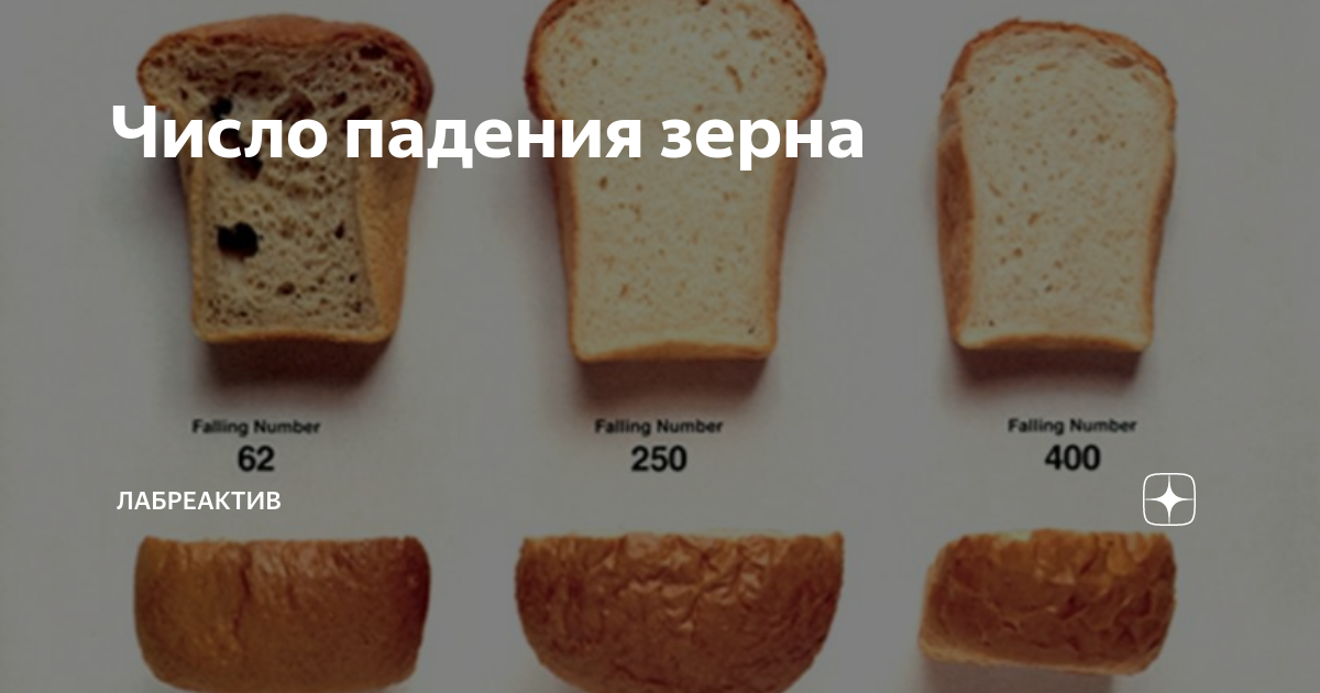 Определение число падения зерна. Число падения. число падения муки. число падения пшеницы что это такое. число падения пшеницы норма.