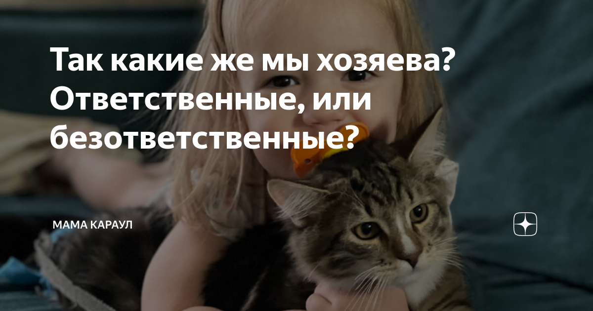 Так какие же мы хозяева? Ответственные, или безответственные? | Мама