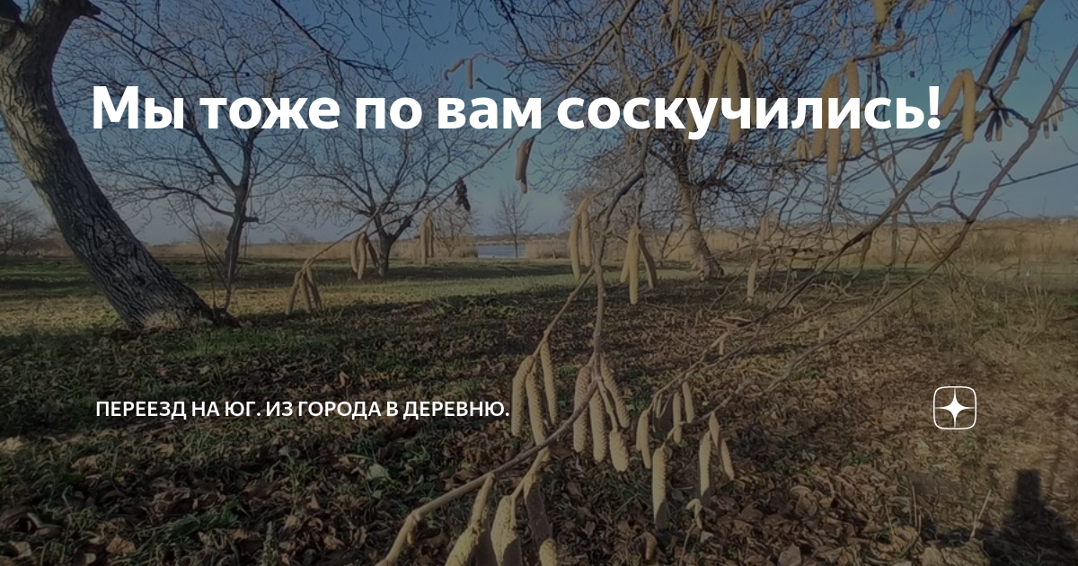 Мы тоже по вам соскучились! | Переезд на юг. Из города в деревню. | Дзен
