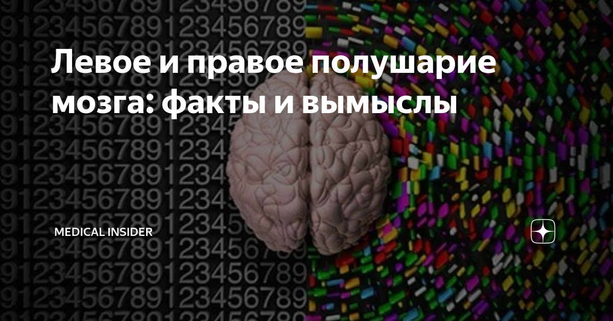 Творчество и логика: миф о функциональной асимметрии полушарий головного мозга