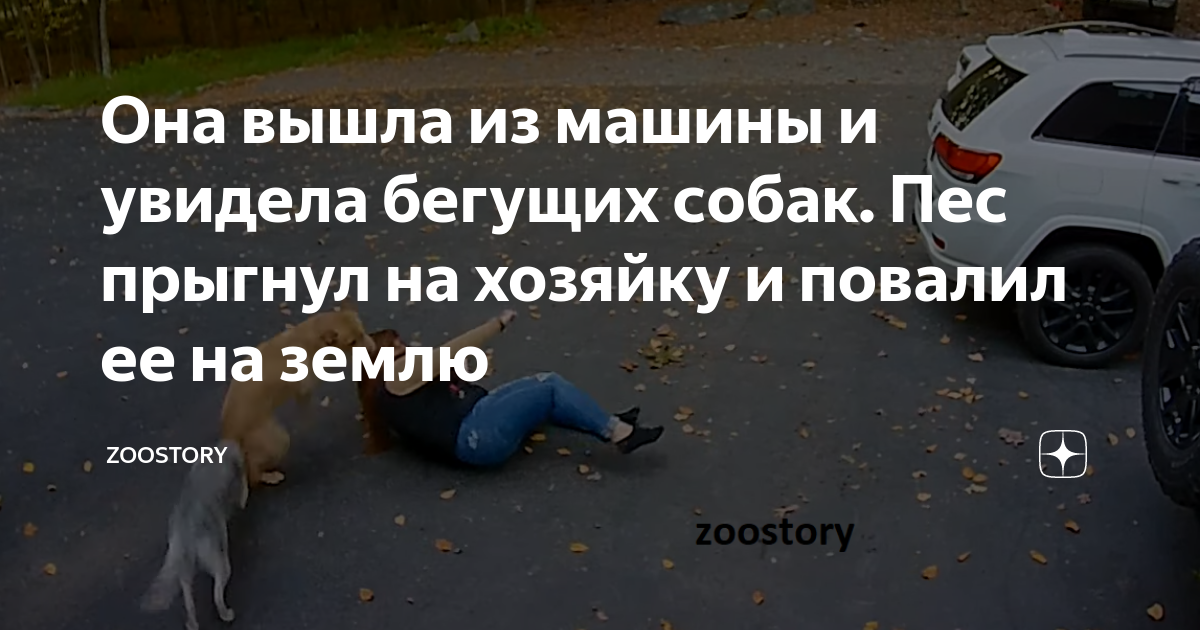 Прыгнул на машину