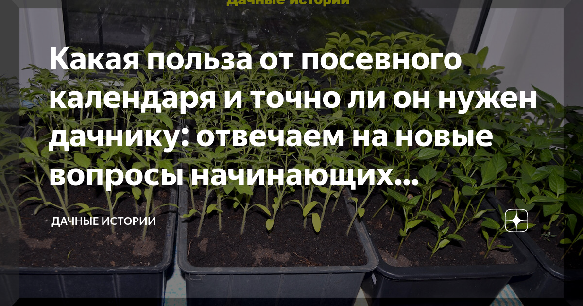 Какая польза от посевного календаря и точно ли он нужен дачнику ...