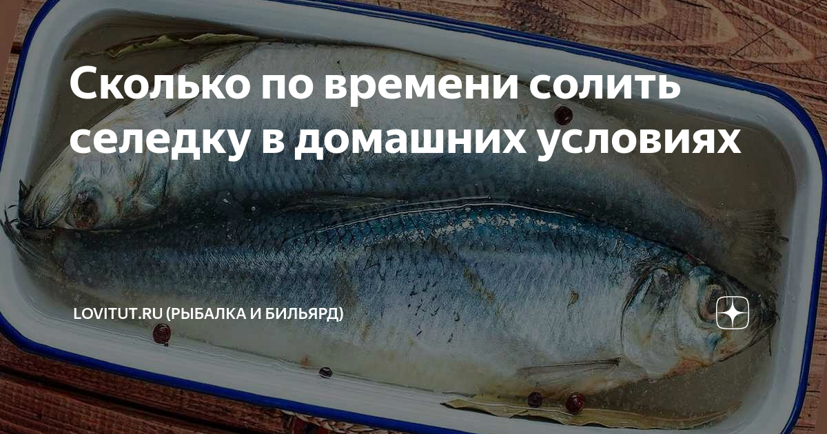 Как засолить селедку вкусно в домашних условиях: рецепт пошаговый с фото и видео | Меню недели