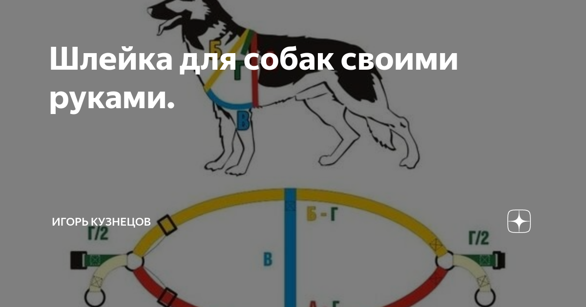 Шлейка для собаки своими руками: выбор материала, пошаговая инструкция изготовления - kormstroytorg.ru