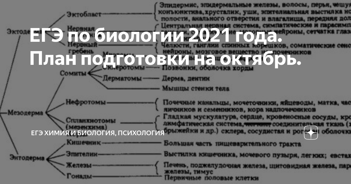Биология план подготовки к егэ