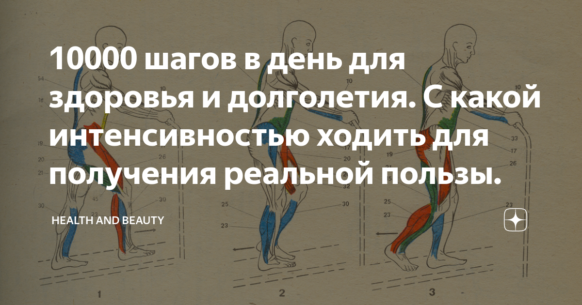 10000 шагов в день для здоровья и долголетия. С какой интенсивностью ходить для 