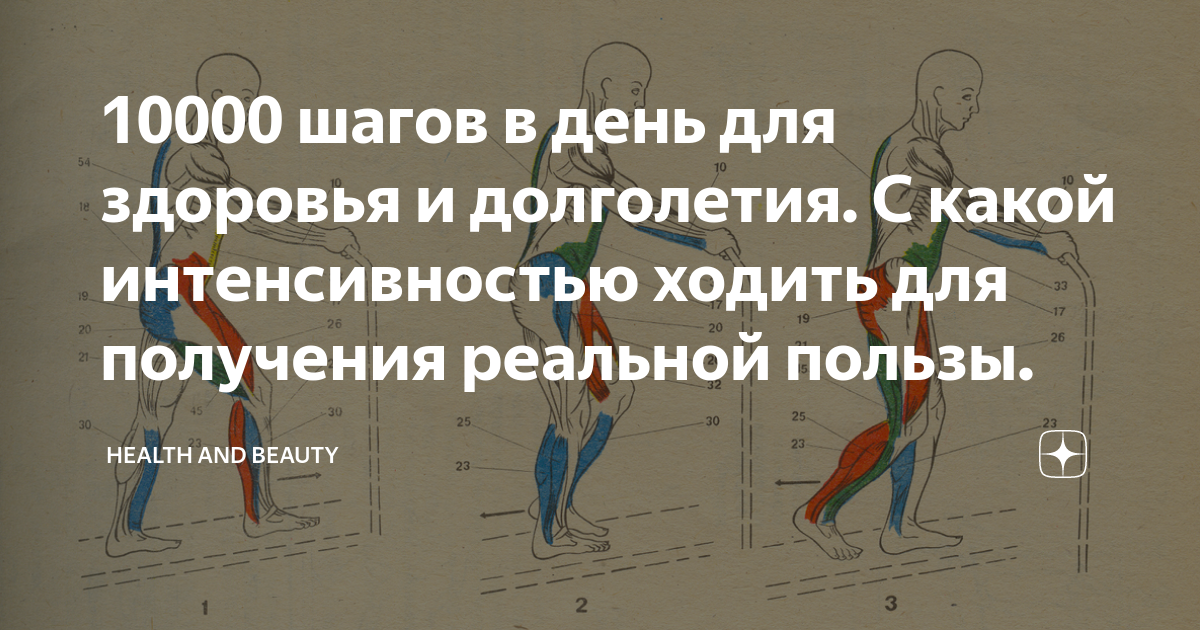 10000 шагов это сколько километров для женщин. 10000 Шагов в день. Зачем ходить 10000 шагов в день. День здорового долголетия 10000 шагов. 10000 Шагов в день польза.