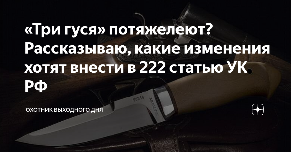 222 статью. Ужесточение оборота оружия законопроект. Статья 222 УК РФ. Статья 222 УК РФ Холодное оружие.