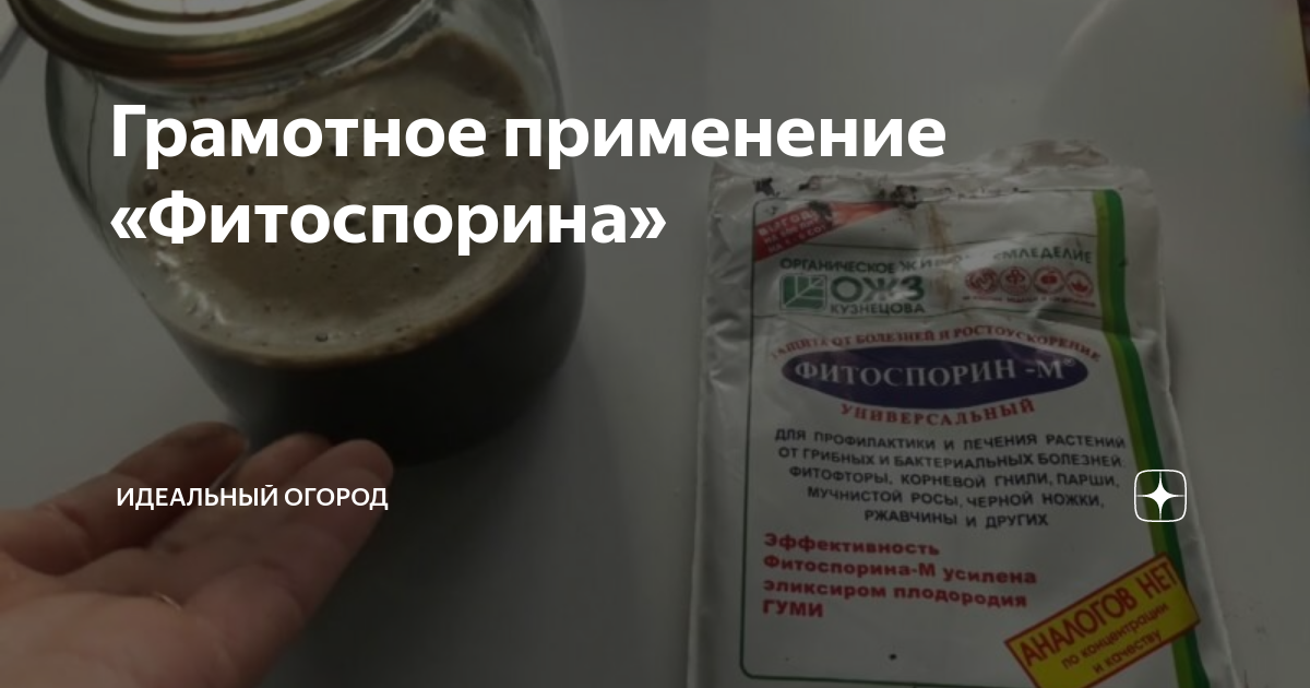 как разбудить сенную палочку в фитоспорине. активация фитоспорина. сенная палочка фитоспорин. разбуженный фитоспорин. как разбудить фитоспорин.