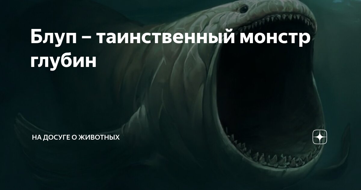 Звук блупа. Блуп. Блуп монстр. Bloop фото. Акула блуп существует