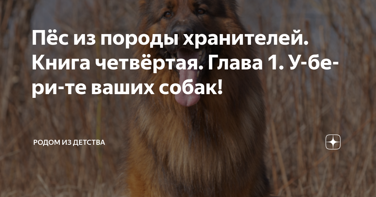 Пес из породы хранителей аудиокнига слушать. Родом из детства дзен. Родом из детства дзен навигация. Родом из детства дзен последние публикации. Родом из детства на дзен 8-11-23.