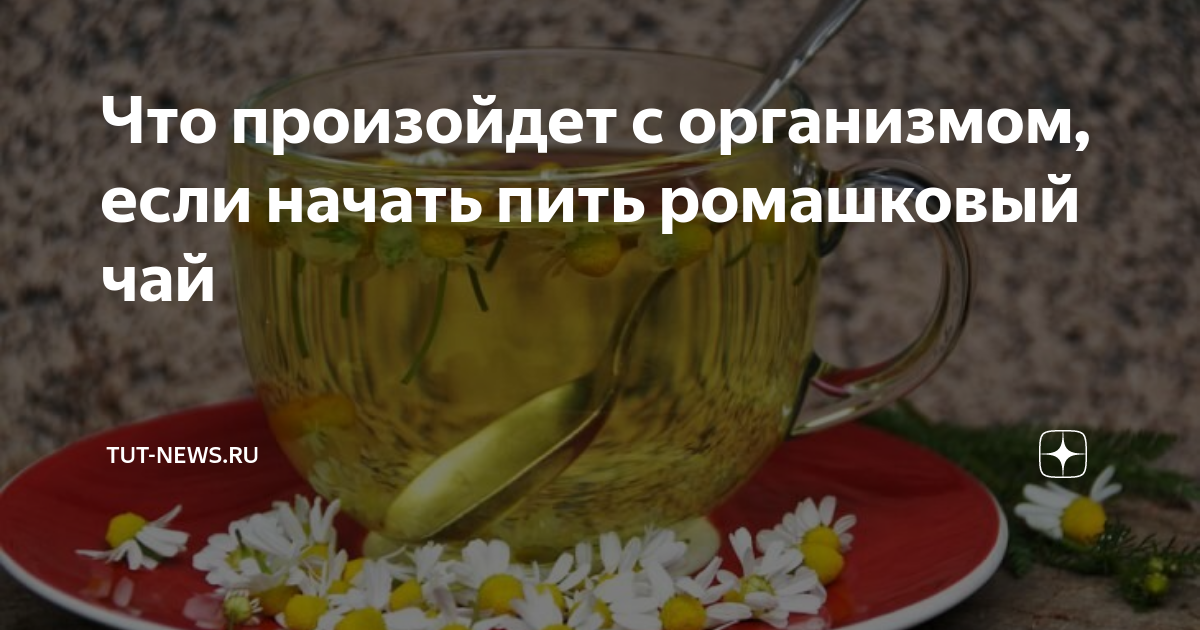 можно ли пить ромашковый чай если болит желудок