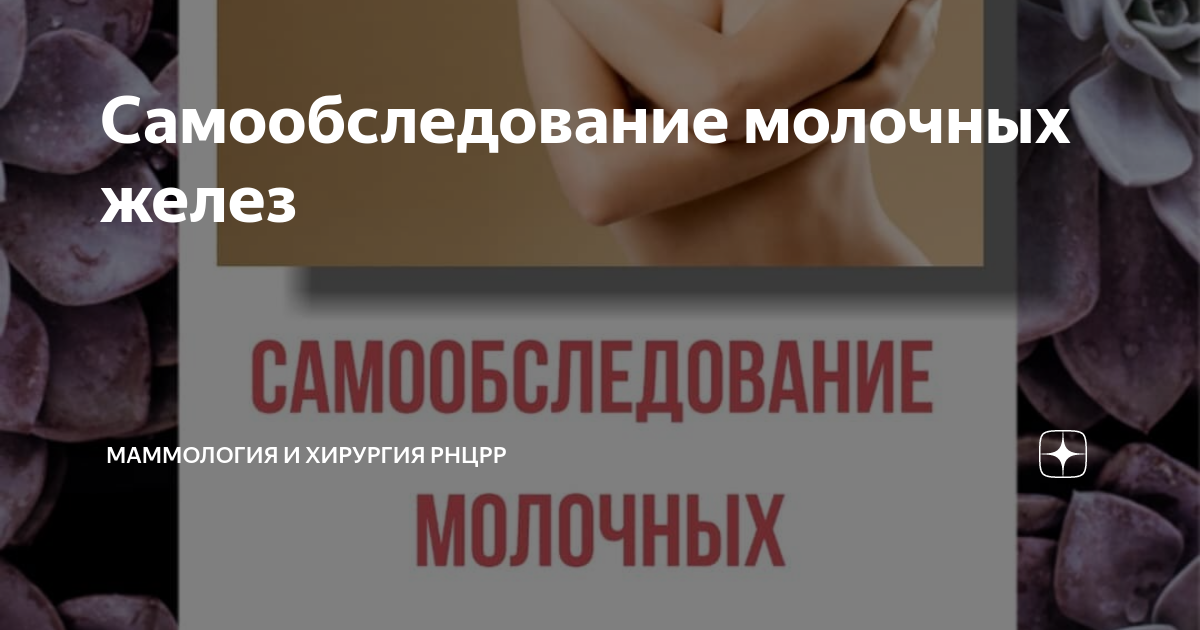 Маммология омск