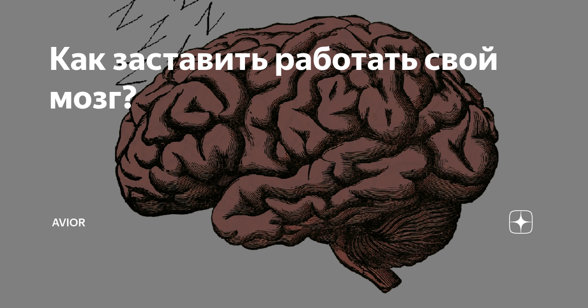 Как заставить мозги работать на 100