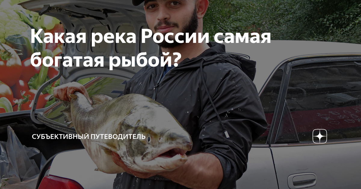Какая река России самая богатая рыбой? | Субъективный путеводитель | Дзен