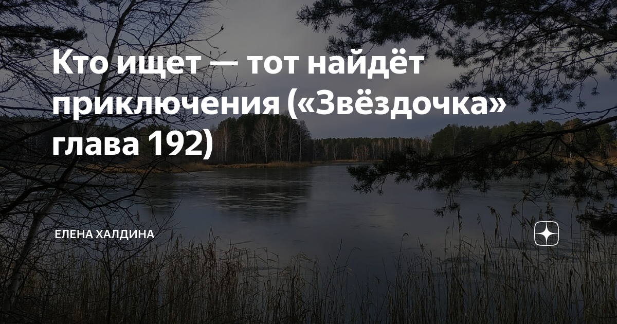 Звёздочка Елена Халдина последняя глава. Елена Халдина Звездочка последняя глава читать. Читать Звездочка Елена Халдина последняя глава на дзен. Халдина Звездочка последняя глава читать на дзен.