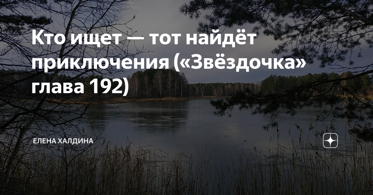 Последняя глава звездочки елены халдиной. Звёздочка Елена Халдина последняя глава. Елена Халдина Звездочка последняя глава читать. Читать Звездочка Елена Халдина последняя глава на дзен. Халдина Звездочка последняя глава читать на дзен.