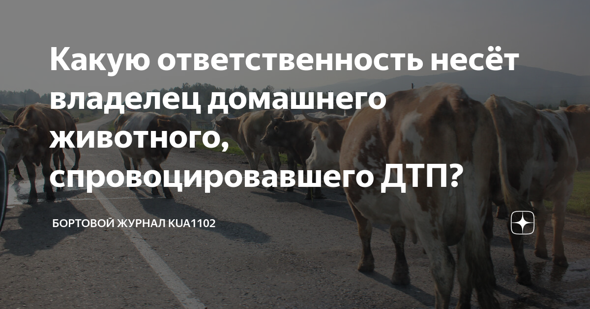 Ответственность за нарушение требований пб. Деятельность создающая повышенную опасность для окружающих. Недобросовестный собственник. Обязанности акционеров. Добросовестный владелец.