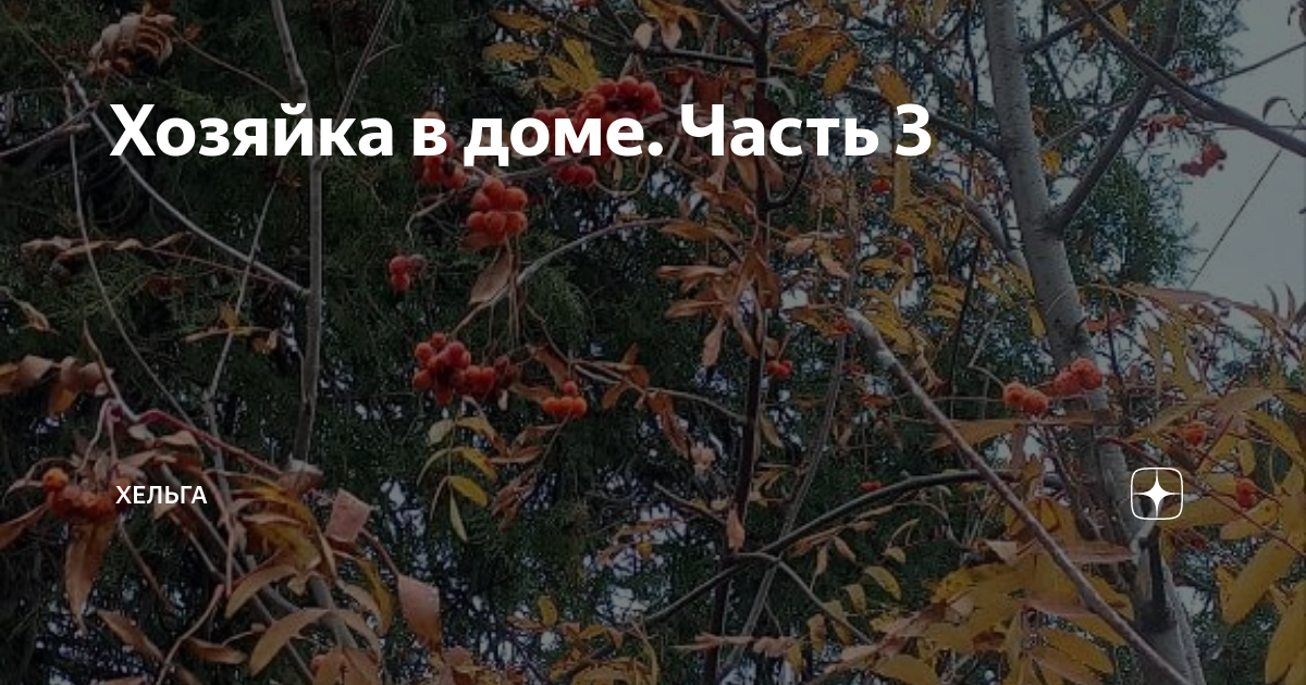 Хозяйка в доме. Часть 3 | Хельга | Дзен