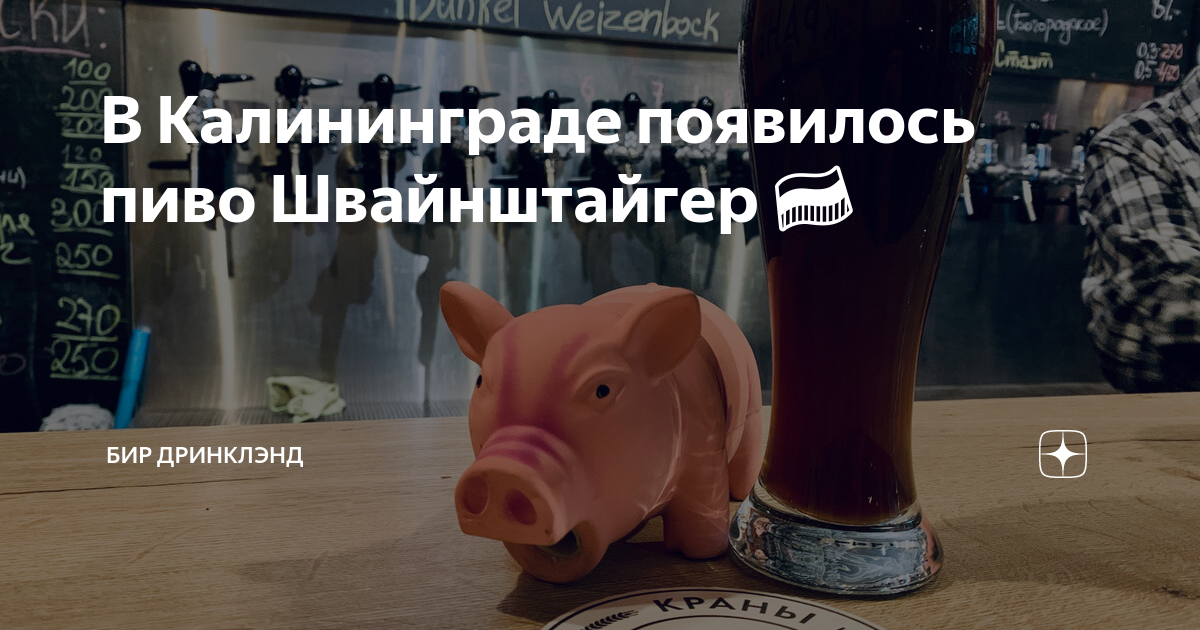 В Калининграде появилось пиво Швайнштайгер 🇷🇺 | Бир Дринклэнд | Дзен