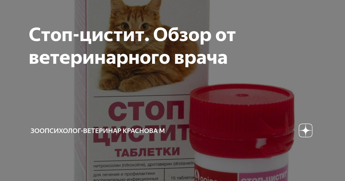 Стоп-цистит. Обзор от ветеринарного врача | Рассказы о жизни ...