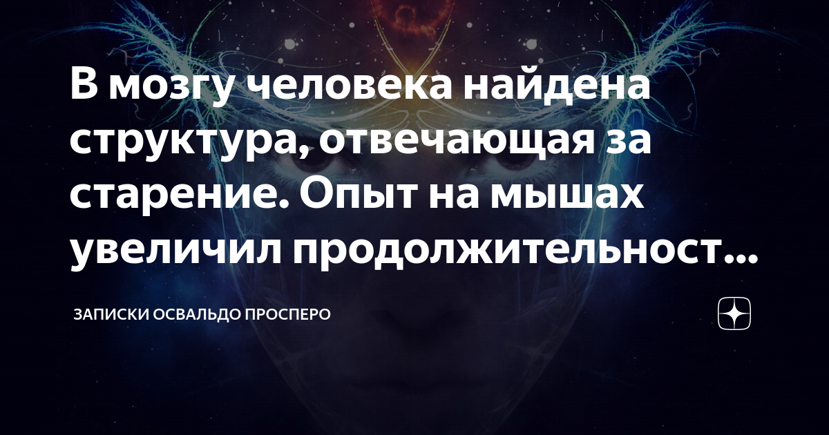 Освальдо просперо дзен. Земля для архитектора. Вселенная реальность