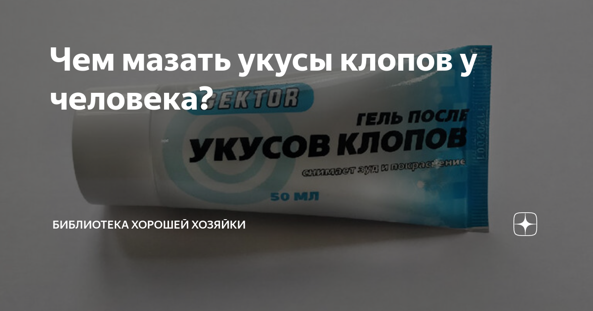 Аллергия на укусы клопов: как проявляется и чем лечить